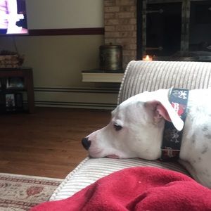 Meet your Posher, Eileen